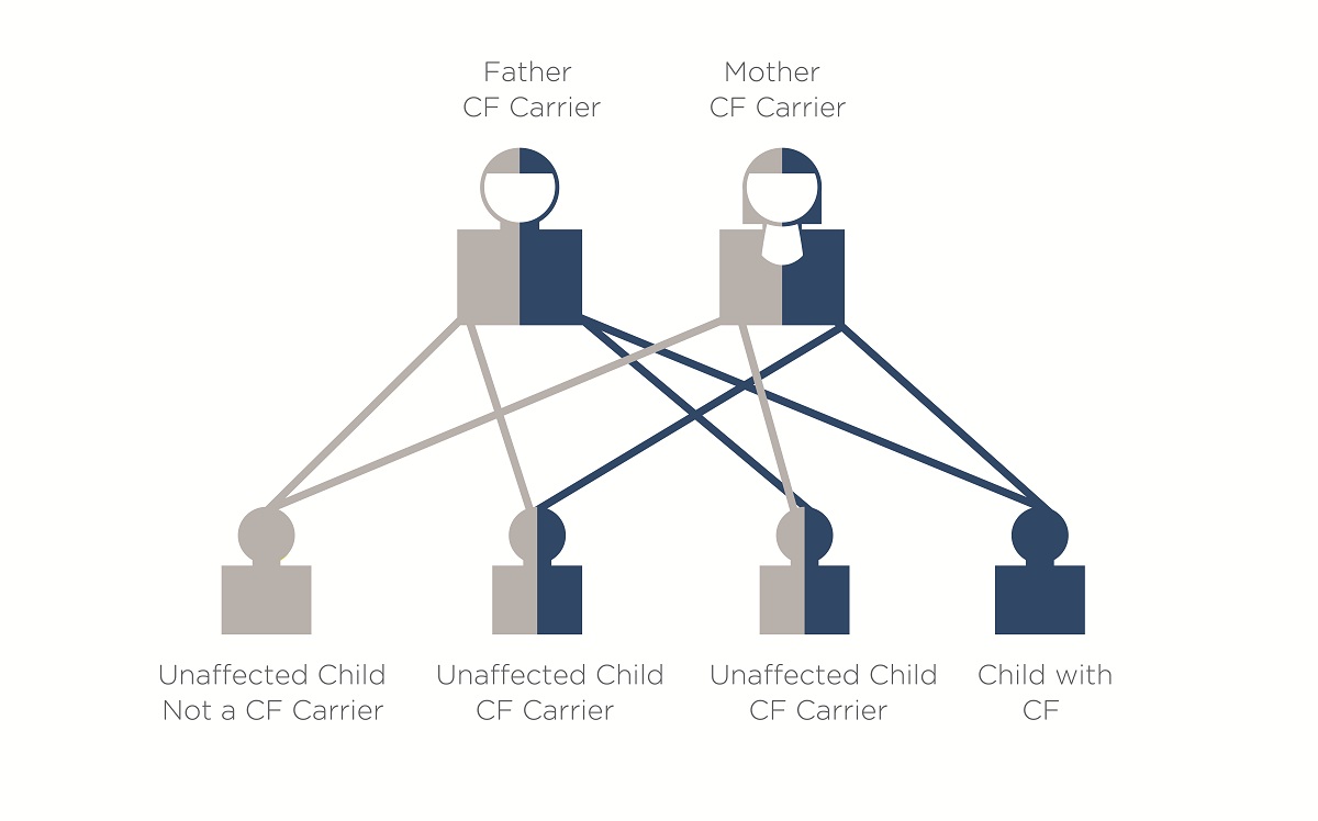 Cystic Fibrosis Inheritance Chart